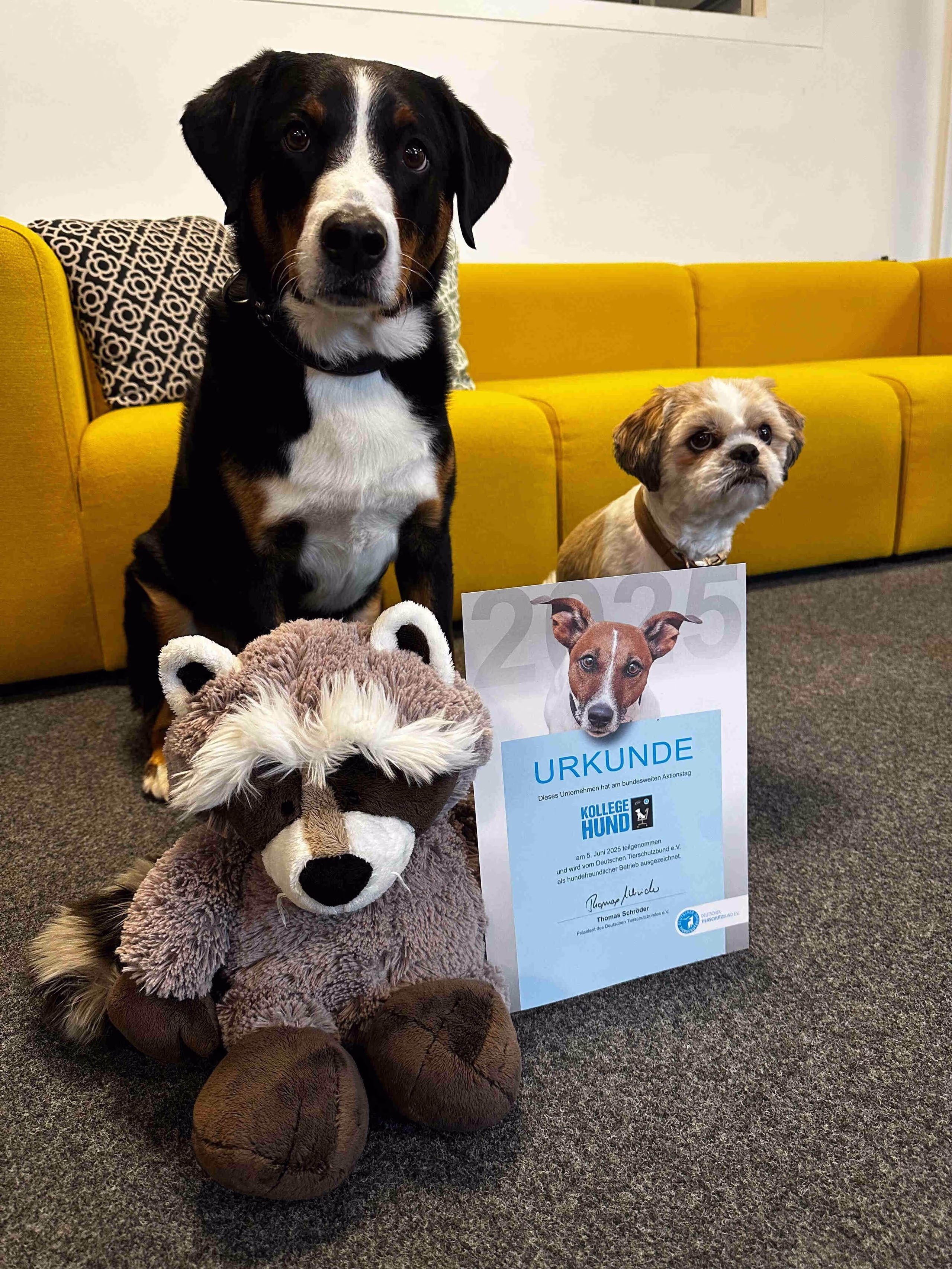 Die Hunde Lucky und Newton mit unserem Maskottchen Wäschbär halten die Urkunde zum hundefreundlichen Betrieb.