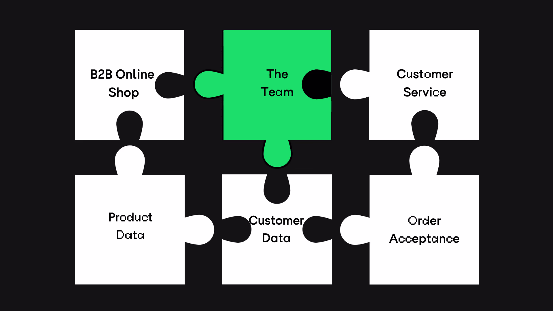 Puzzle with 6 pieces for digital sales. On the pieces is written: B2B Online Shop, The Team, Customer Service, Product Data, Customer Data and Order Accpetance